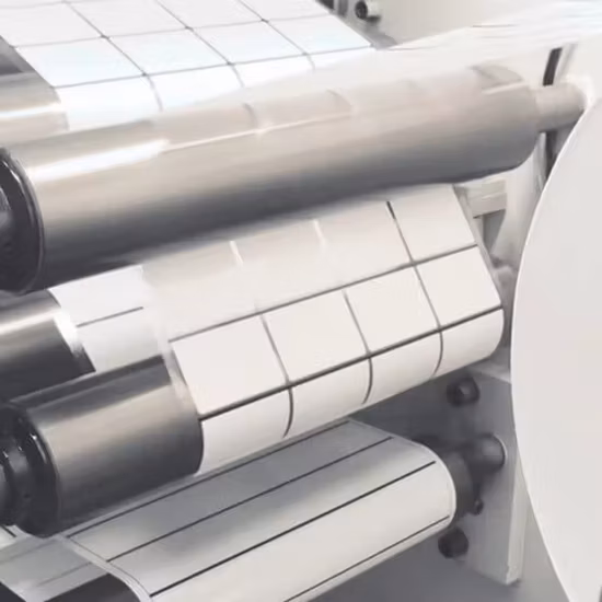 Etichette di spedizione autoadesive stampate direttamente su carta termica